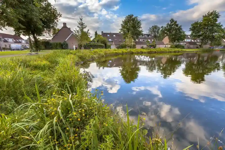 Excellent Pond Maintenance Services in Knoxville, TN Excellent Pond Maintenance Services in Knoxville, TN