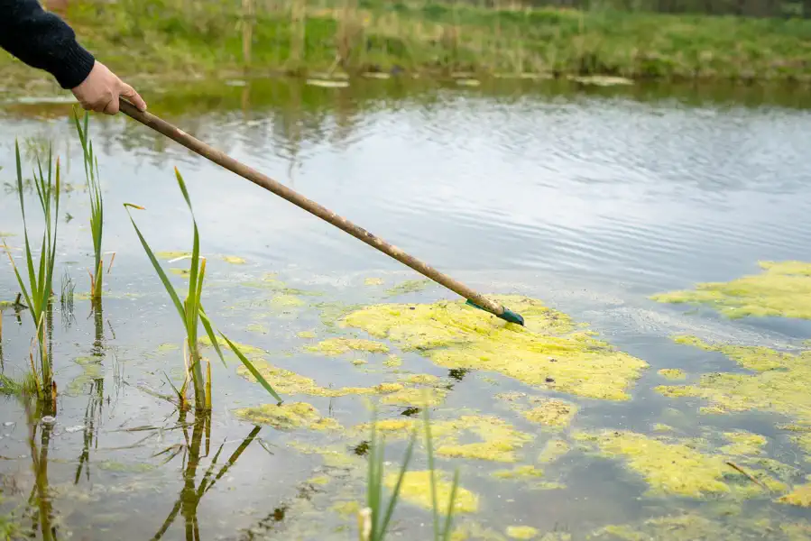 Experienced Pond Maintenance Services in Knoxville, TN Experienced Pond Maintenance Services in Knoxville, TN