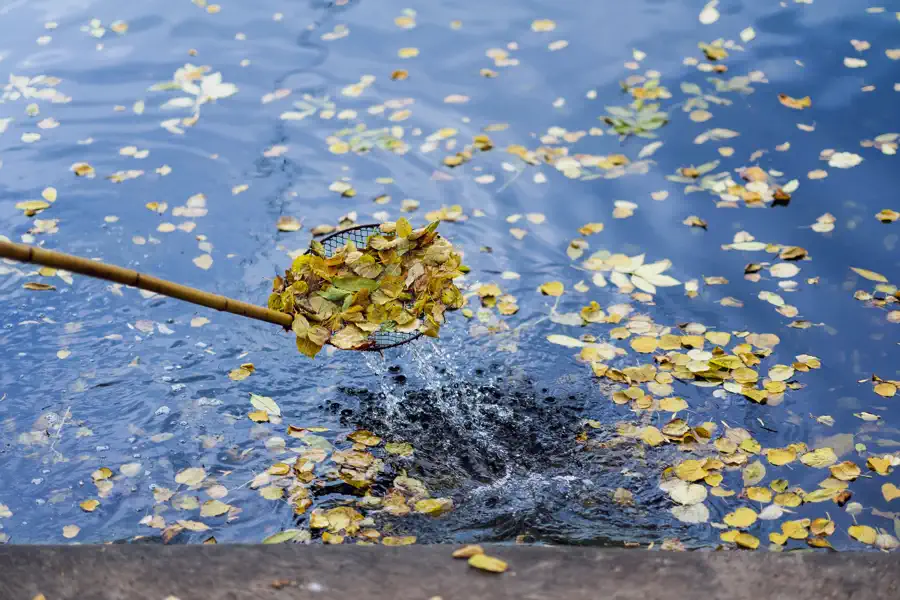 Pond Maintenance After Heavy Rainfall Knoxville, TN Pond Maintenance After Heavy Rainfall Knoxville, TN