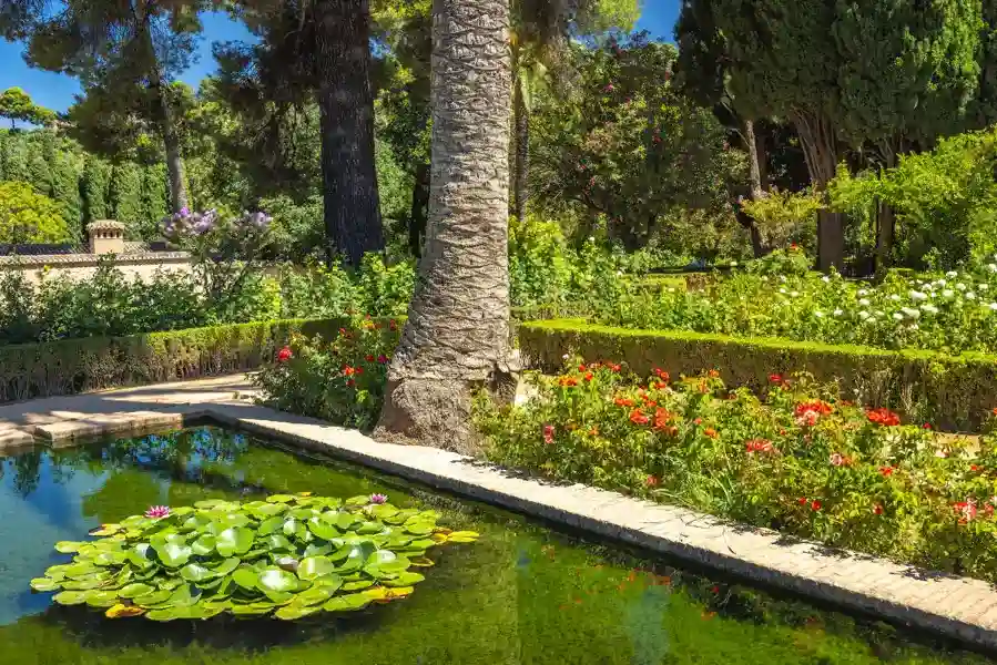 Reliable Pond Maintenance Services in Knoxville, TN Reliable Pond Maintenance Services in Knoxville, TN